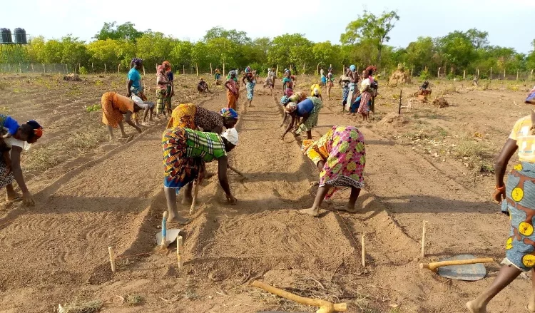 projet agricole pour les femmes du Poro financé par les fonds vert