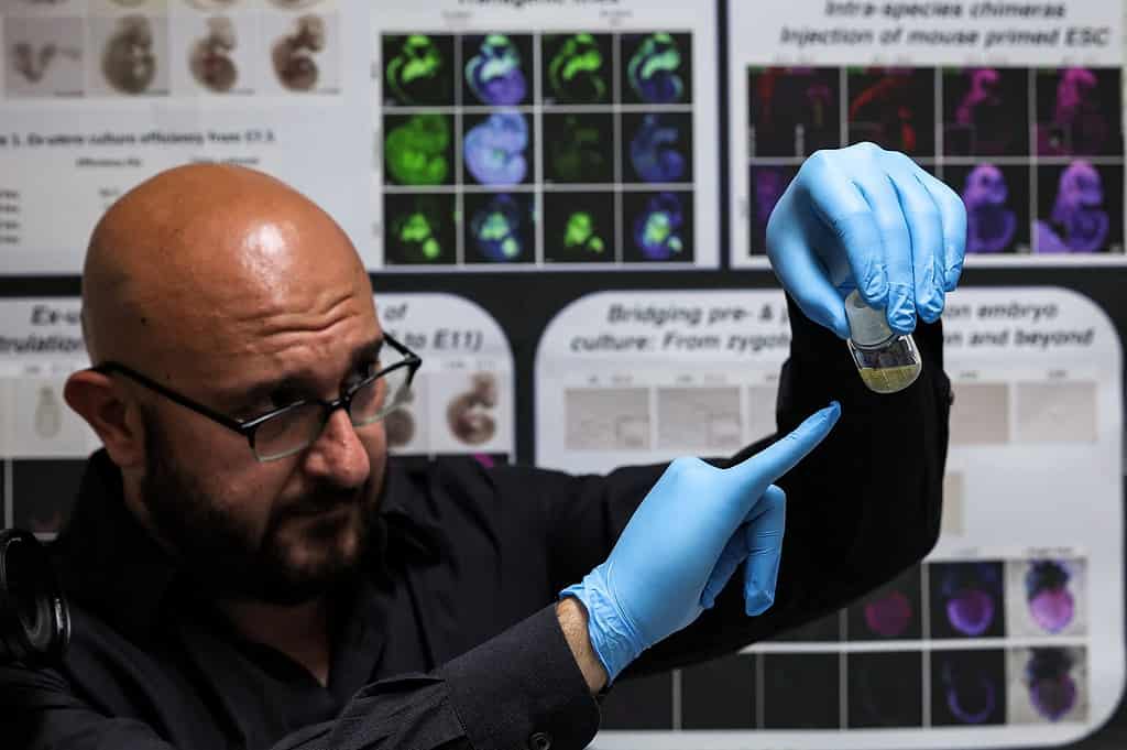 Le Dr Jacob Hanna, spécialiste en génétique moléculaire à l’Institut Weizmann des sciences d’Israël, tient une fiole contenant des embryons de souris synthétiques de cinq jours cultivés dans une plate-forme de culture ex utéro contrôlée électroniquement, à Rehovot, le 4 août 2022. (Crédit : AHMAD GHARABLI / AFP)