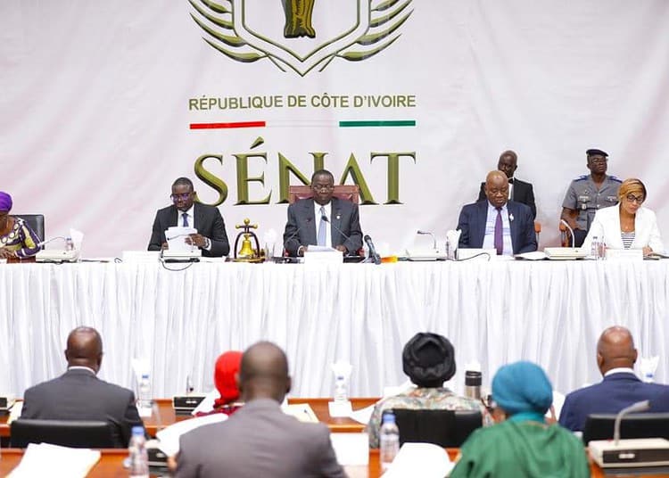 Des sénateurs ivoiriens pendant une session au Sénat.
Source : Sénat Côte d'Ivoire
